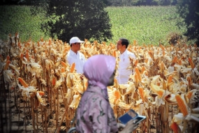 Indonesië wordt in 2045 de World Food Barn