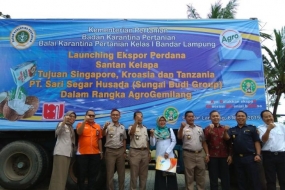Kokosmelk van Lampung wordt geëxporteerd naar drie landen