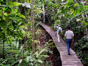 Kutai Nationaal Park.