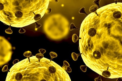 Coronavirus : Dodental loopt op tot 425 in China