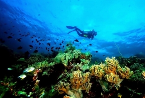Wakatobi National Park, onderwaterparadijs in Sulawesi