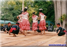 Orlapei-dans vanuit Maluku