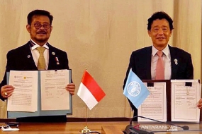 Le ministère indonésien de l&#039;Agriculture et FAO renforcent de la coopération Sud-Sud et triangulaire