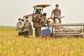 La FAO apprécie le secteur agricole indonésien pendant la pandémie