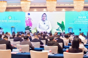 L&#039;Indonésie promeut les opportunités de développement de la médecine traditionnelle lors du forum ASEAN-Chine