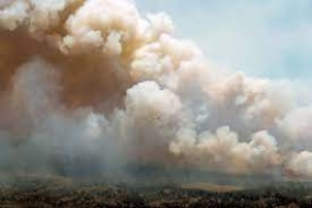 Fumée des incendies de forêt au Canada menace 100 millions de citoyens américains