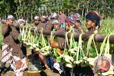 La cérémonie de Cing Cing Goling de la région spéciale de Yogyakarta