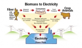 La France s&#039;intéresse au développement de l&#039;énergie de la biomasse dans le sud de Sumatra