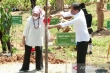 Le président Jokowi a planté 34 arbres typiques de toutes les provinces d&#039;Indonésie