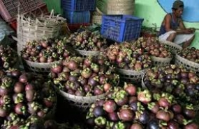 Purwakarta encourage les agriculteurs à exporter du mangoustan vers la Chine