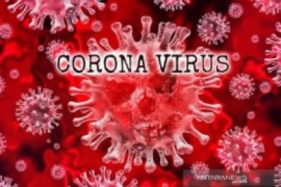 Commentaire:  La Crise mondiale des outils et du personnel médical dans la manipulation des coronavirus