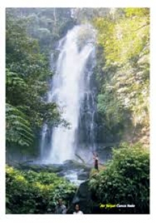 La  cascade  Cunca Rede dans la province de Nusa Tenggara Est.