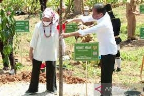 Präsident Jokowi pflanzte 34 Bäume, die für alle Provinzen Indonesiens typisch sind