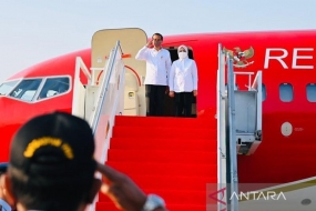 Präsident Jokowi überprüft die Entwicklung der früh reifenden Kokosnuss in Zentraljava