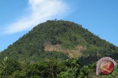 Der  Hügel Daun in Bengkulu
