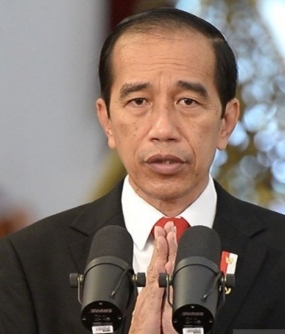 Präsident Jokowi lädt japanische Unternehmen ein, in die IKN zu investieren