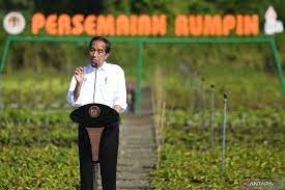 Präsident Jokowi zielt auf 360 Millionen Setzlinge aus 30 Baumschulen ab