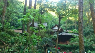 Der gesunde Touristenwald von Citamiang