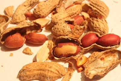Mahasiswa Magelang Manfaatkan Kulit Kacang jadi Prebiotik