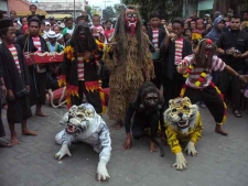 Pencak Macan, Tradisi Yang Mulai Punah