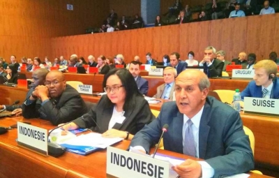 PBB Apresiasi Kemajuan HAM di Indonesia