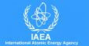 IAEA Siap Bantu Indonesia Kembangkan Pembangkit Listrik Tenaga Nuklir