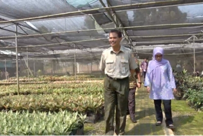 Dirjen Hortikultura Suwandi meninjau produksi tanaman hias kualitas ekspor di Bogor.