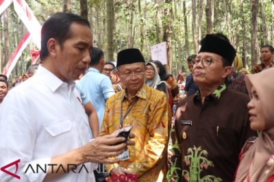 印尼总统要求安全部队认真处理非法采伐