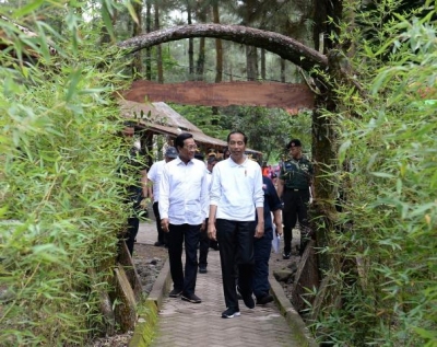 总统在默拉比释放爪哇鹰和种植黑板树
