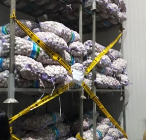 Ministerio de Comercio confisca cinco toneladas de semillas de ajo importadas