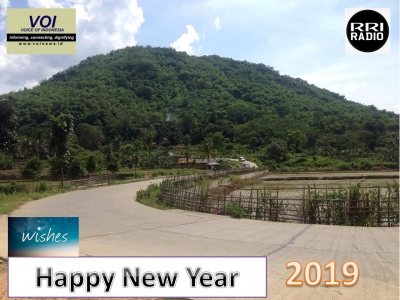 Feliz Ano Nuevo 2019