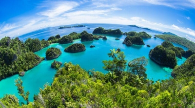 Source : https://www.thegreatprojects.com/blog/why-you-should-never-go-diving-in-raja-ampat