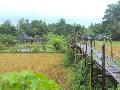 Puton uit Tourism Village, Yogyakarta