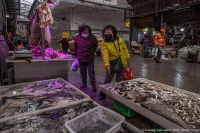 Buitenland: WHO-team Koopmans naar grote vismarkt in Wuhan