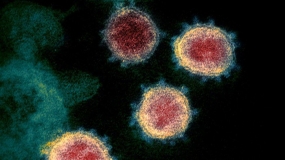 De regering treft voorzorgsmaatregelen tegen een nieuwe vorm van coronavirus