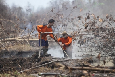 Illustratie - Officieren blussen turflandbranden in het dorp Ganepo, East Kotawaringin District, Central Kalimantan, eind 2019