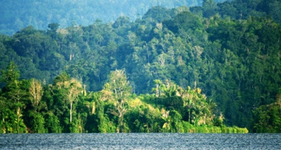 Lore Lindu Nationaal Park in Centraal Sulawesi