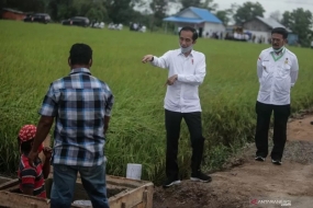 President Jokowi heeft het ministerie van Landbouw gevraagd dit jaar een &quot;voedseldomein&quot; te realiseren