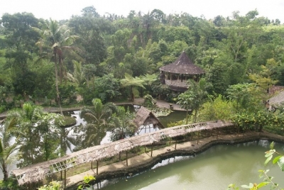 Dukuh Waringin Tourism Dorp, Kudus, Midden-java