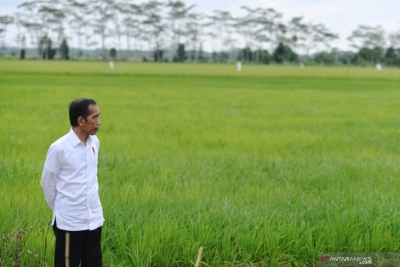 Jokowi plant de uitbreiding van het voedsellandgoed tot Papua, NTT, Zuid-Sumatra
