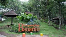 Kampung Kopi Banaran: Een koffiedorp in Midden-Java