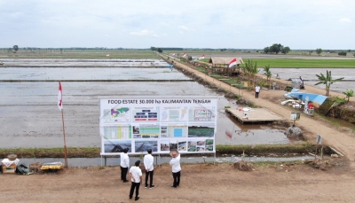 Uitbreiding van voedsellandgoed in Centraal Kalimantan over een landoppervlak van 30.000 ha: Jokowi