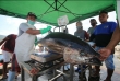 Indonesische tonijnproducten behalen met succes MSC-certificering