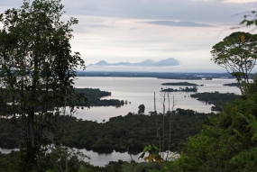 Het landschaap van het Nationale Park van Danau Sentarum (TNDS) in Kapuas Hulu, West-Kalimantan