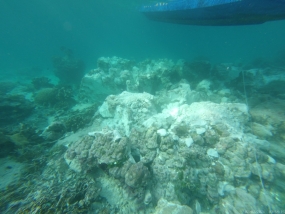 Het schip zonk in Raja Ampat en veroorzaakte schade aan koraalriffen