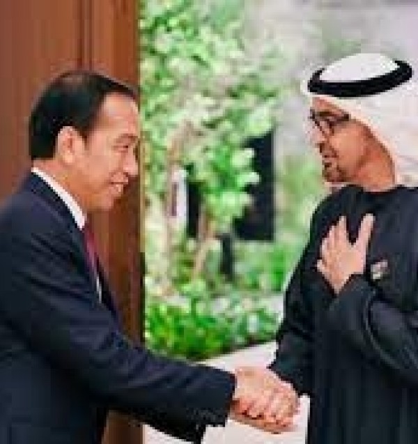 Le président Jokowi et le président des Émirats arabes unis  Cheikh Mohamed bin Zayed Al Nahyan ont
