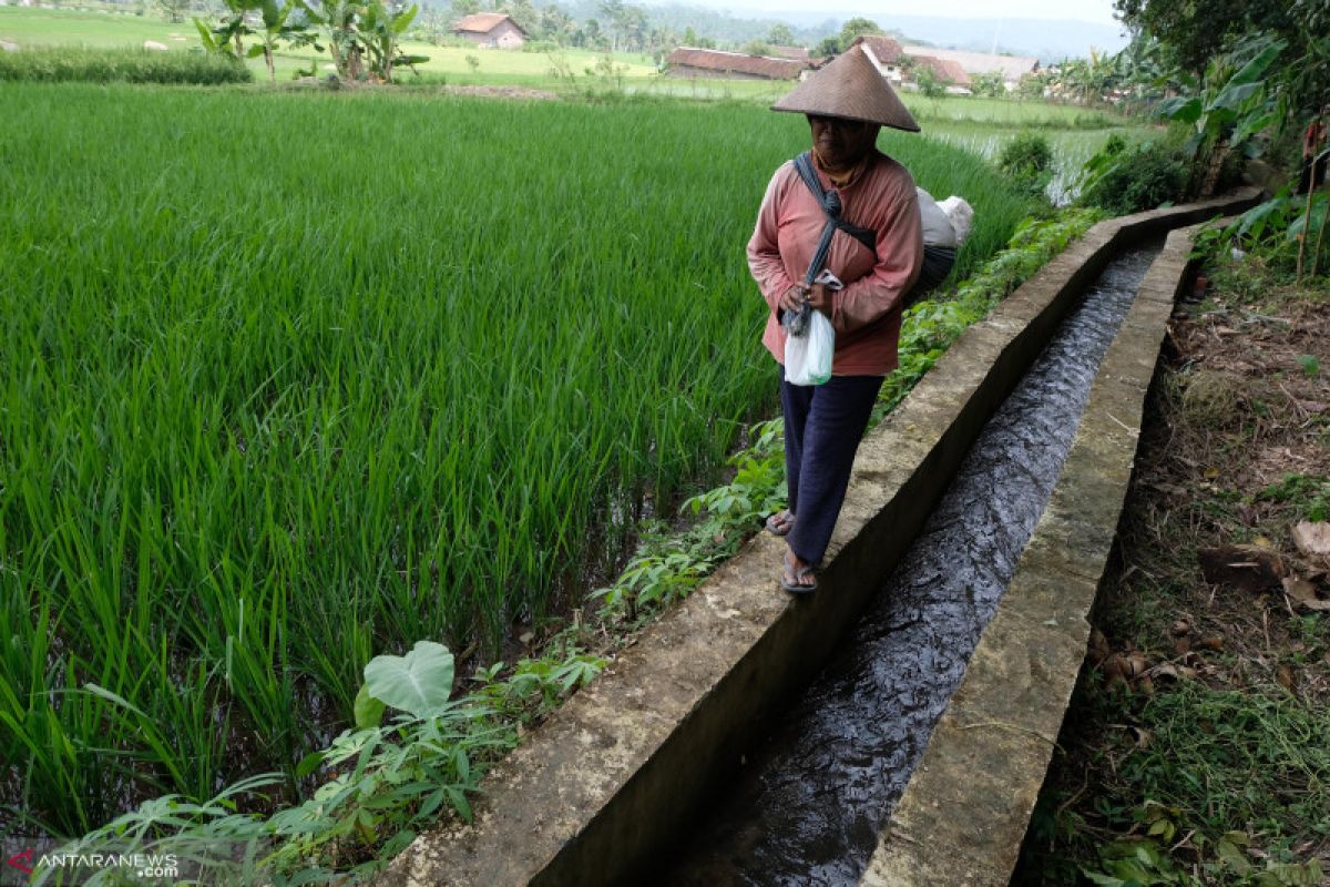 Forum mondial de l'eau souligne le rôle des infrastructures d'eau pour l'alimentation