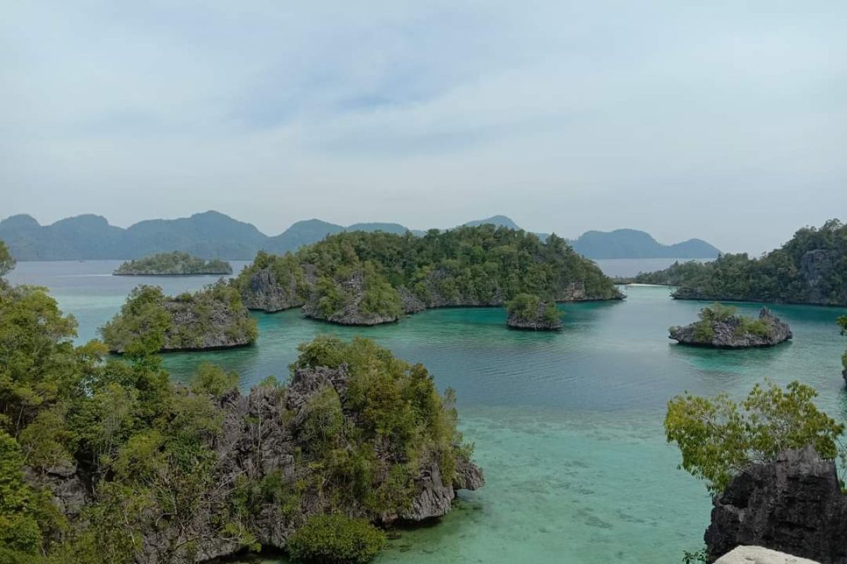 L’Île Sombori, en province Sulawesi central