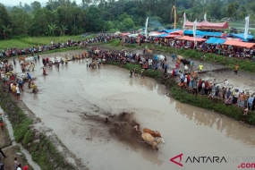 Tanah Datar prépare quatre festivals pour célébrer l&#039;Aïd al Fitr