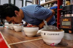 Le café indonésien est de plus en plus demandé au Royaume-Uni